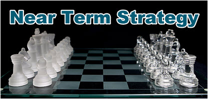 Recap: Near Term Strategy WG